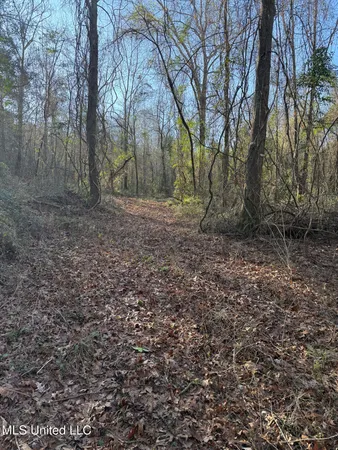 $99,000 | 5547 Rocky Point Road, Carthage, MS 39051