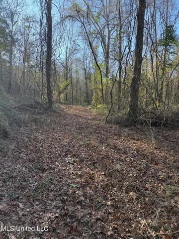 $99,000 | 5547 Rocky Point Road, Carthage, MS 39051