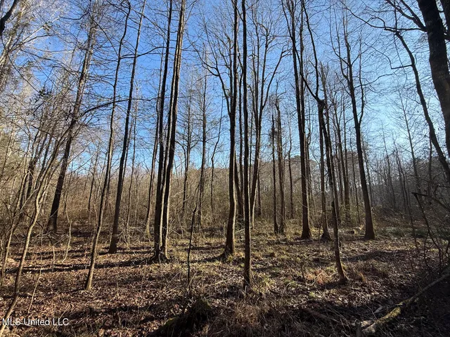 $99,000 | 5547 Rocky Point Road, Carthage, MS 39051