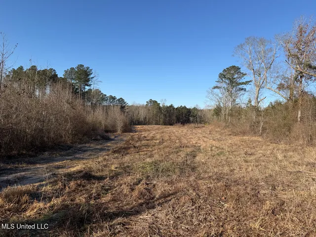 $99,000 | 5547 Rocky Point Road, Carthage, MS 39051