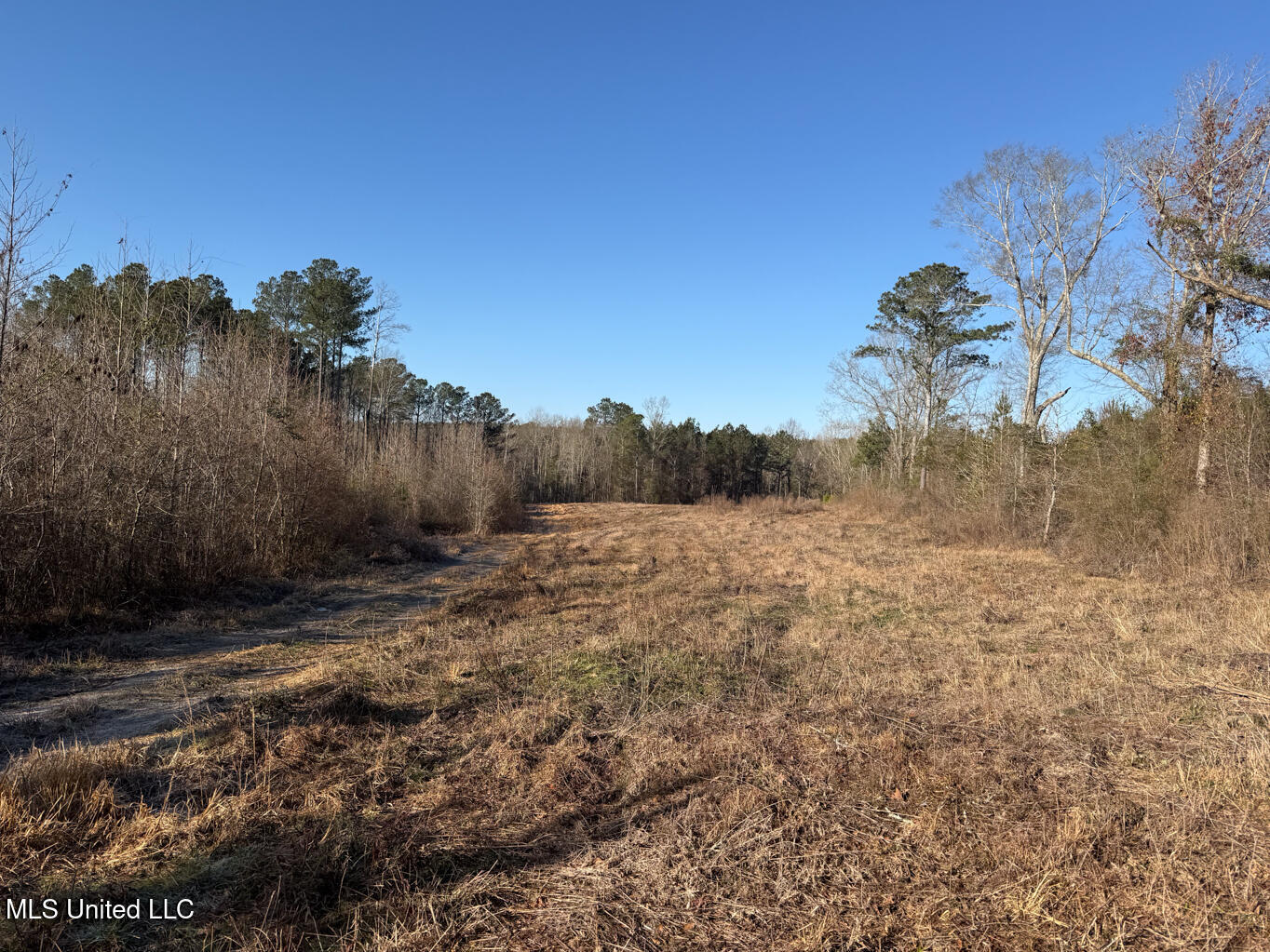 5547 Rocky Point Road Carthage, MS 39051 - Photo 2 of 27 Leake 40 resized-2 - Copy