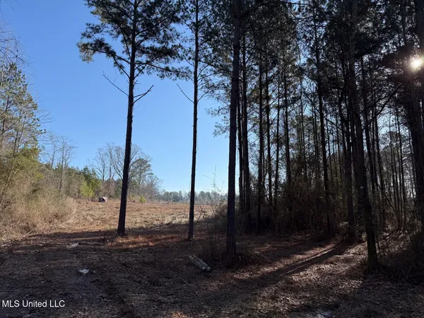 $99,000 | 5547 Rocky Point Road, Carthage, MS 39051