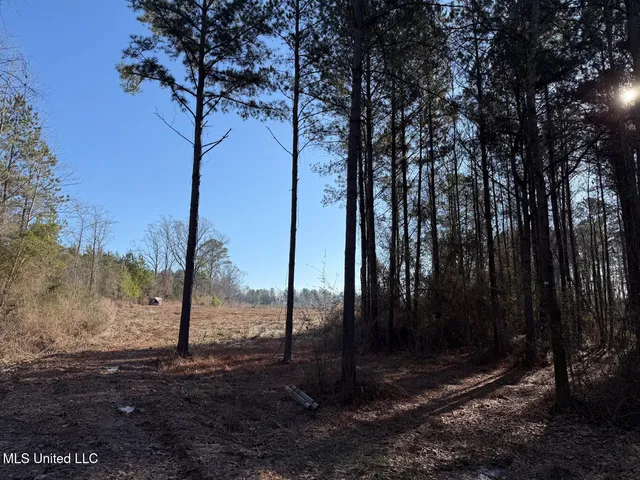 $99,000 | 5547 Rocky Point Road, Carthage, MS 39051