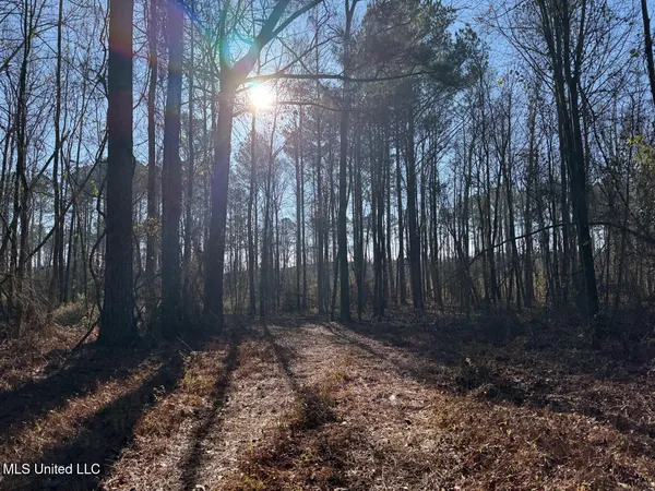 $99,000 | 5547 Rocky Point Road, Carthage, MS 39051