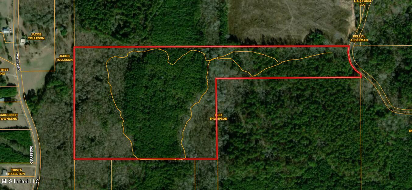 5547 Rocky Point Road Carthage, MS 39051 - Photo 25 of 27 aerial