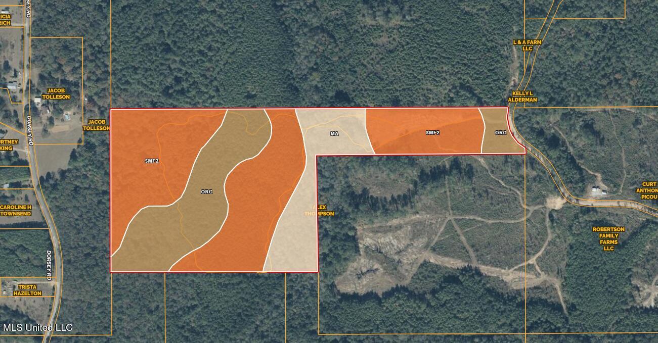 5547 Rocky Point Road Carthage, MS 39051 - Photo 26 of 27 soil report