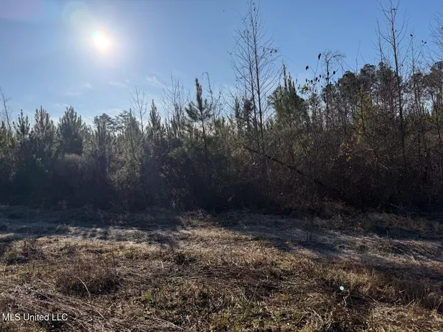 $99,000 | 5547 Rocky Point Road, Carthage, MS 39051