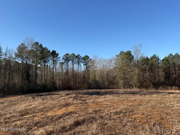 $99,000 | 5547 Rocky Point Road, Carthage, MS 39051