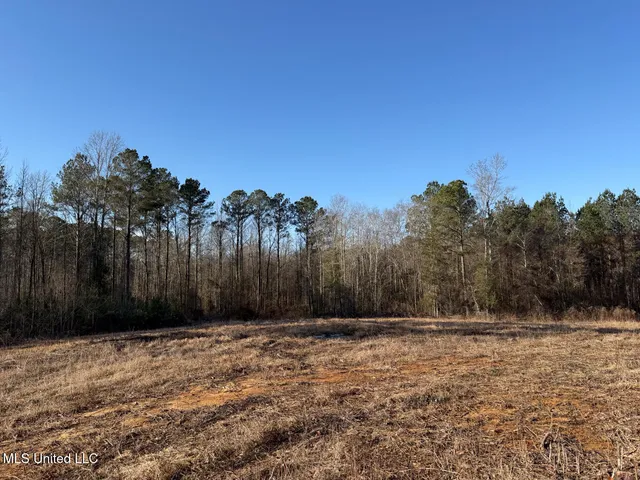 $99,000 | 5547 Rocky Point Road, Carthage, MS 39051