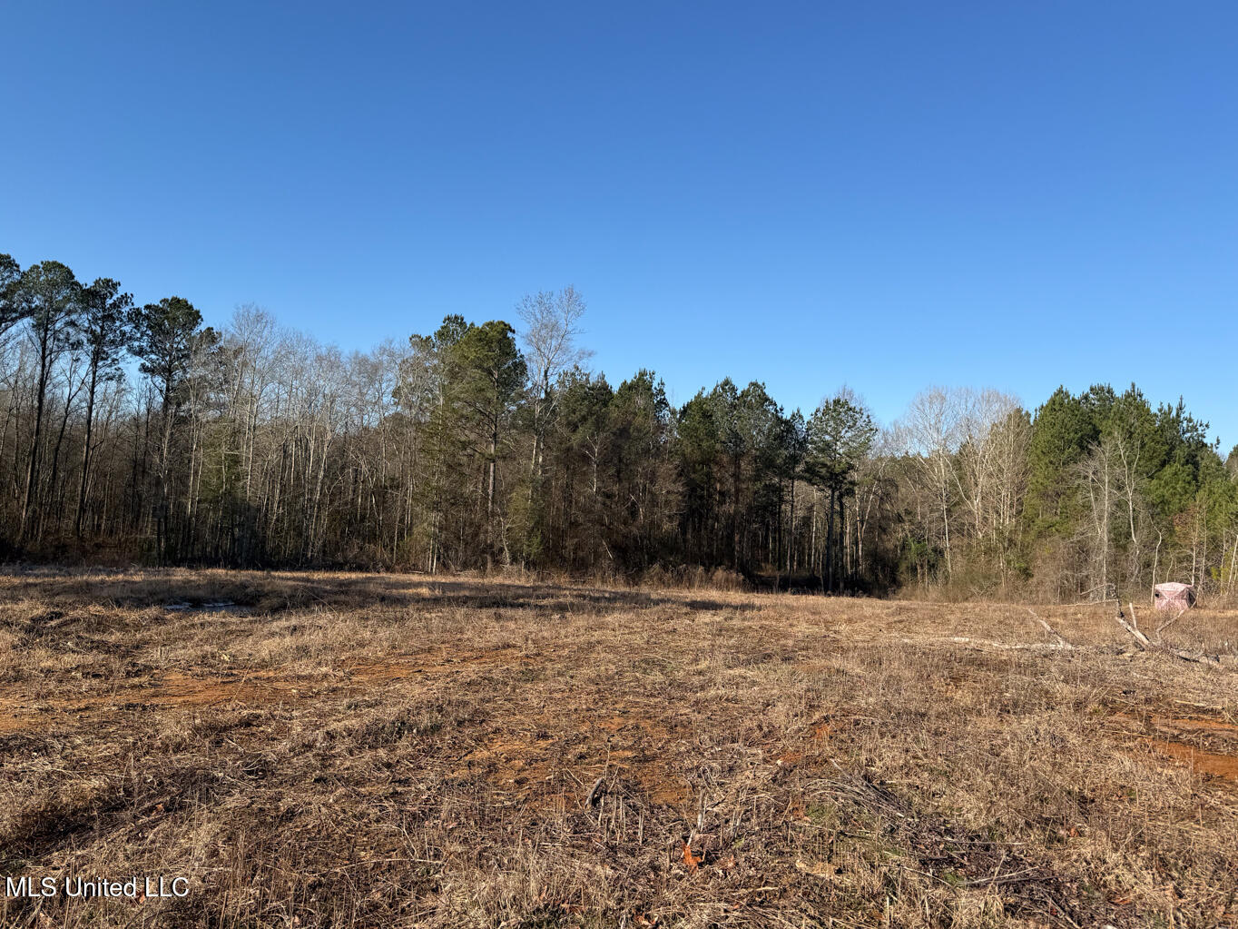 5547 Rocky Point Road Carthage, MS 39051 - Photo 5 of 27 Leake 40 resized-5 - Copy