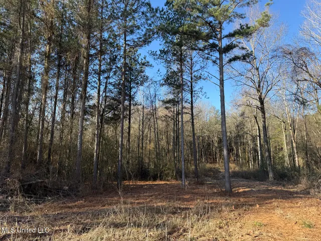 $99,000 | 5547 Rocky Point Road, Carthage, MS 39051