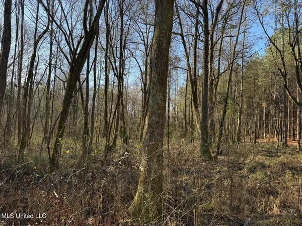 $99,000 | 5547 Rocky Point Road, Carthage, MS 39051