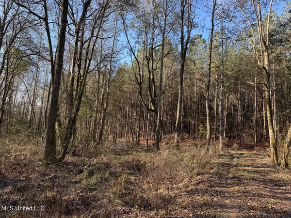 $99,000 | 5547 Rocky Point Road, Carthage, MS 39051