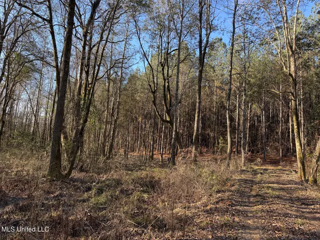 $99,000 | 5547 Rocky Point Road, Carthage, MS 39051