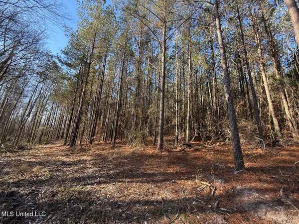 $99,000 | 5547 Rocky Point Road, Carthage, MS 39051