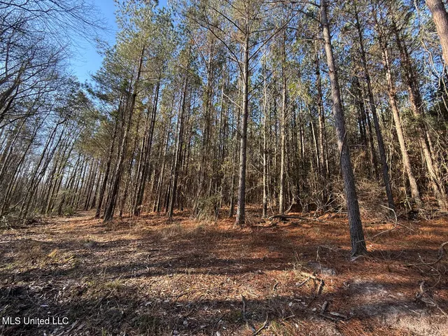 $99,000 | 5547 Rocky Point Road, Carthage, MS 39051