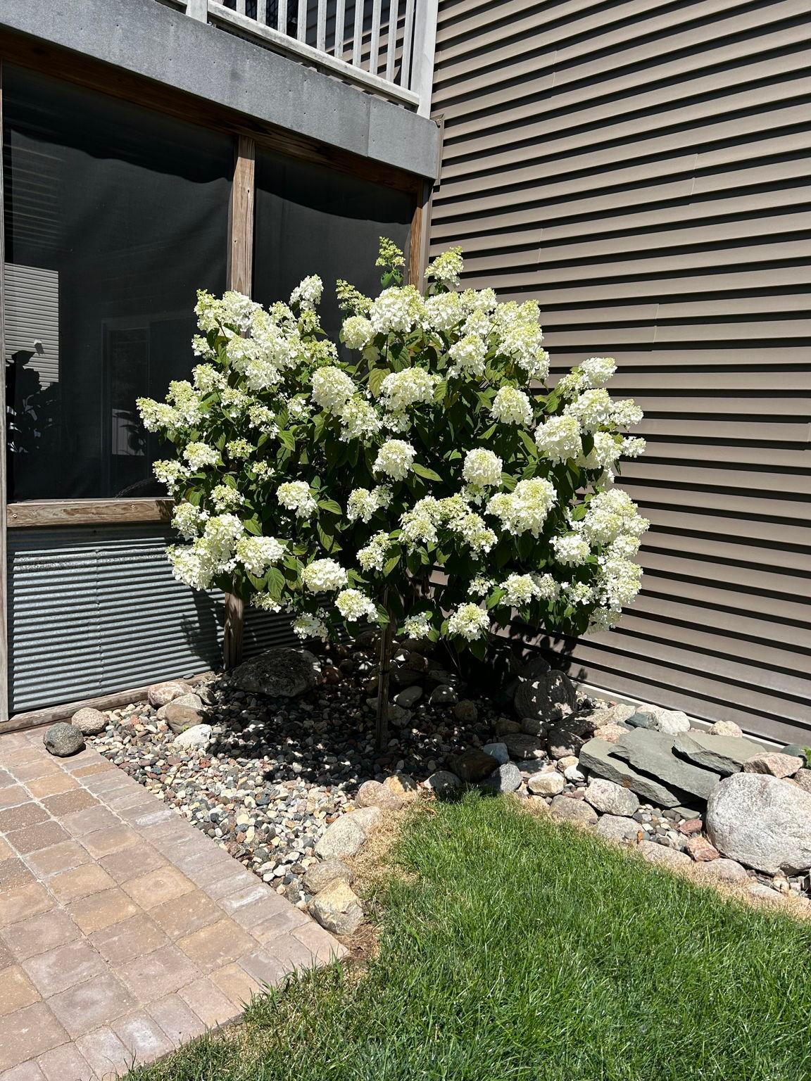 832 Deerfield Road Watertown, MN 55388 - Photo 64 of 81