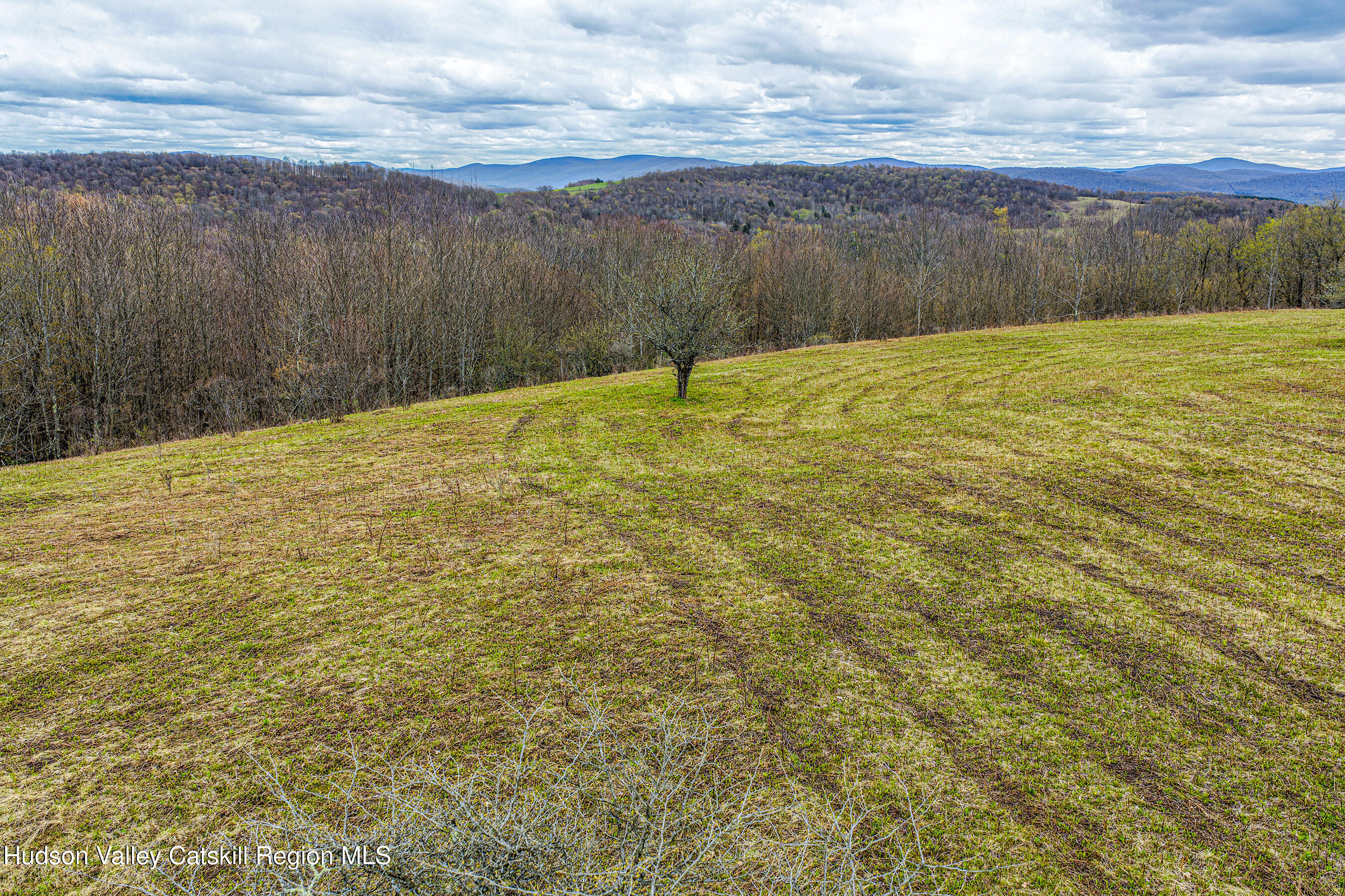 0 Brownell Road Bloomville, NY 13739 - Photo 34 of 39 23 acres Brownell Rd -- 032