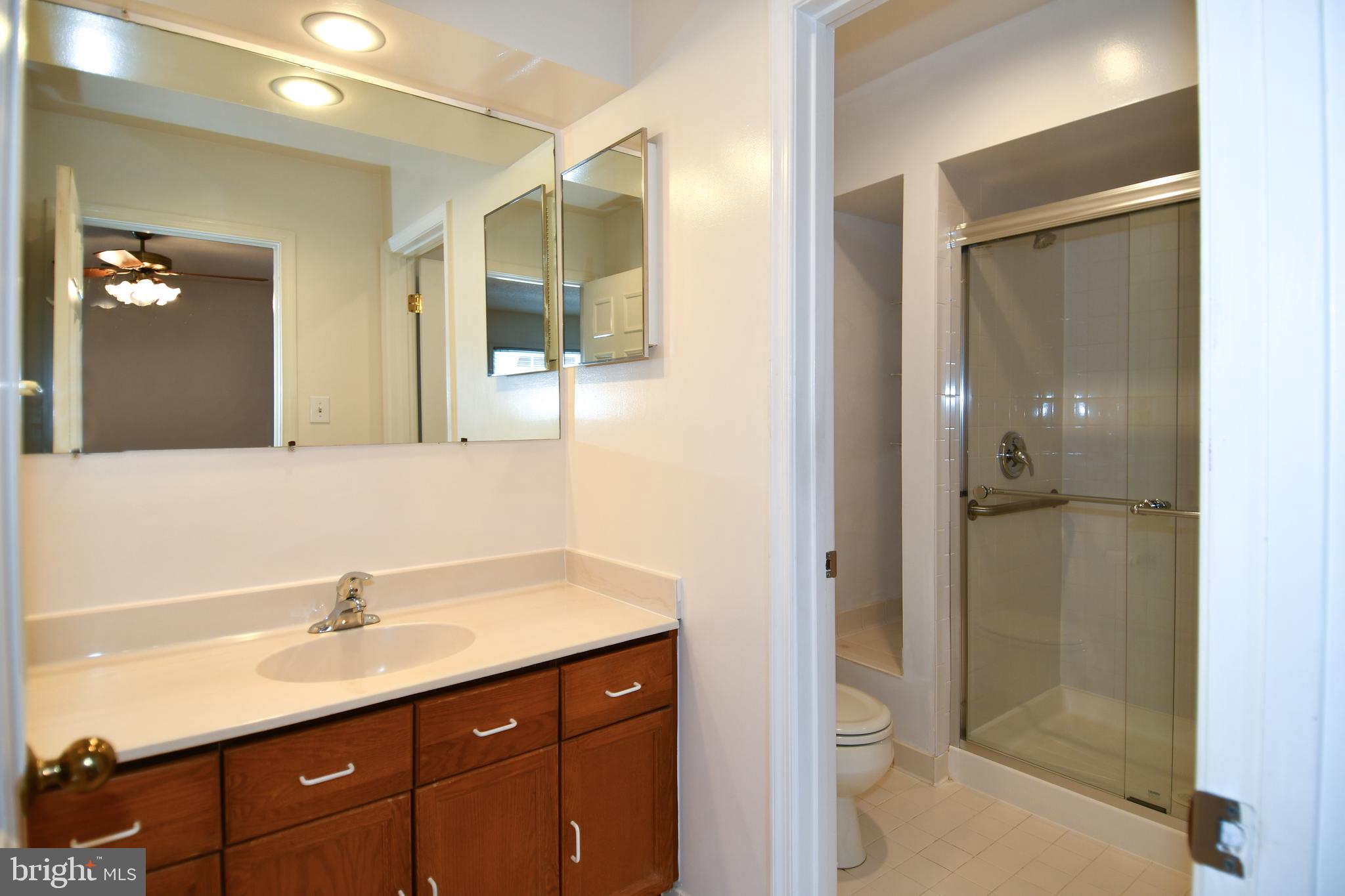 6730 Anders Terrace Springfield, VA 22151 - Photo 21 of 38 Primary Bath