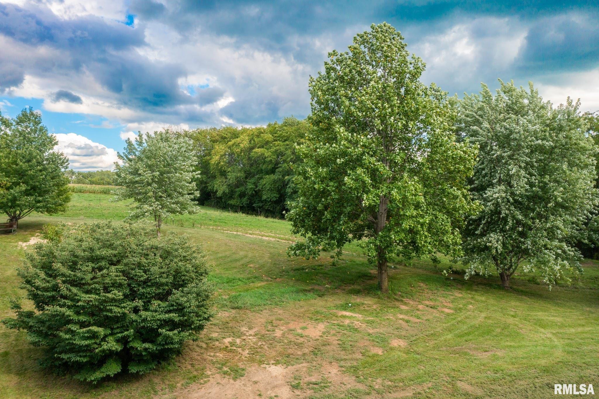 15081 Christmas Tree Road Green Valley, IL 61534 - Photo 44 of 45