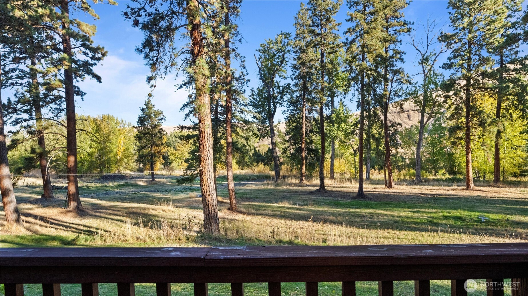 106 Wolf Ridge Lane Dayton, WA 99328 - Photo 3 of 39 a view of a yard with an trees
