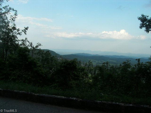 1123 Blue Ridge Church Road Purlear, NC 28665 - Photo 1 of 1 Main View