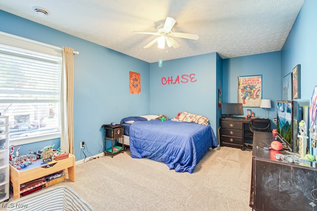 132 Timber Ridge Drive, Unit RDR Elyria, OH 44035 - Photo 25 of 41 Carpeted bedroom featuring a textured ceiling and ceiling fan