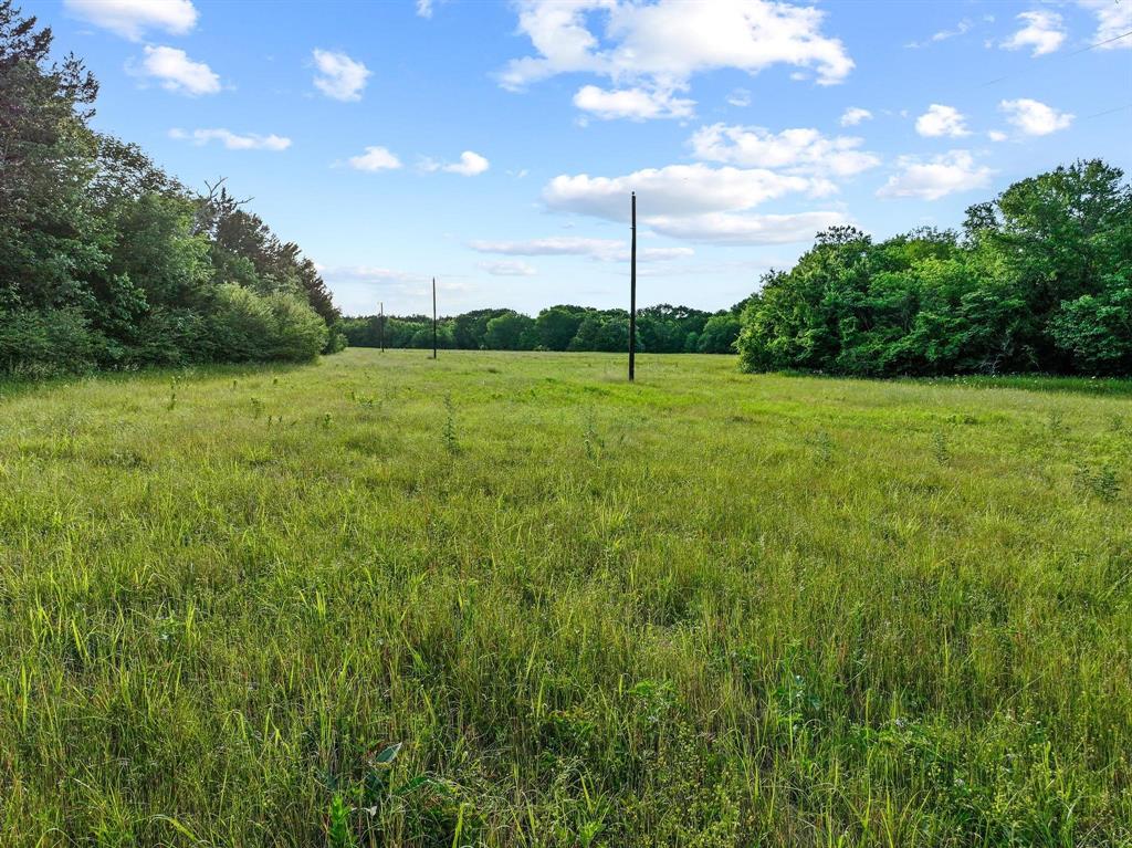 Tbd-2 Singletree Road Denison, TX 75021 - Photo 21 of 23 a view of a garden with a tree