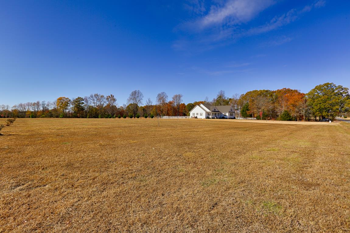 31995 Ardmore Ridge Road Ardmore, TN 38449 - Photo 5 of 30 Acreage