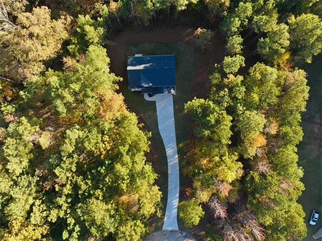 a picture of flowers