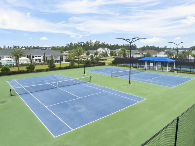 $5,500 | 119 Anastasia Cir Inlet Beach, Inlet Beach, FL 32461