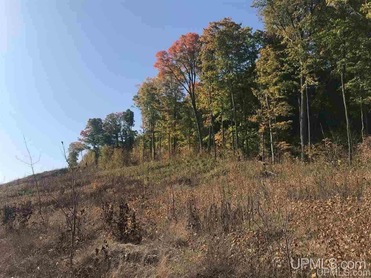 Tbd Ford River Road Arnold, MI 49831 - Photo 1 of 22