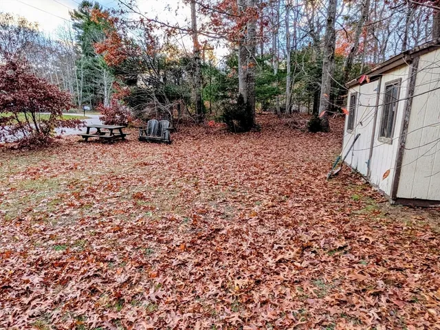 a view of outdoor space with deck and tree