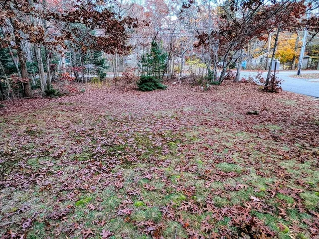 a view of road with trees