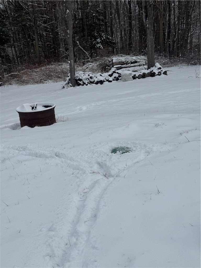 26 Bower Road Newfield, NY 14867 - Photo 23 of 50 Septic location left of home towards front
