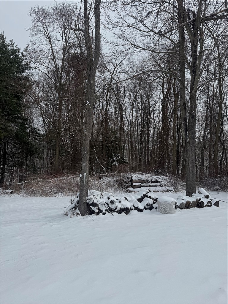 26 Bower Road Newfield, NY 14867 - Photo 4 of 50