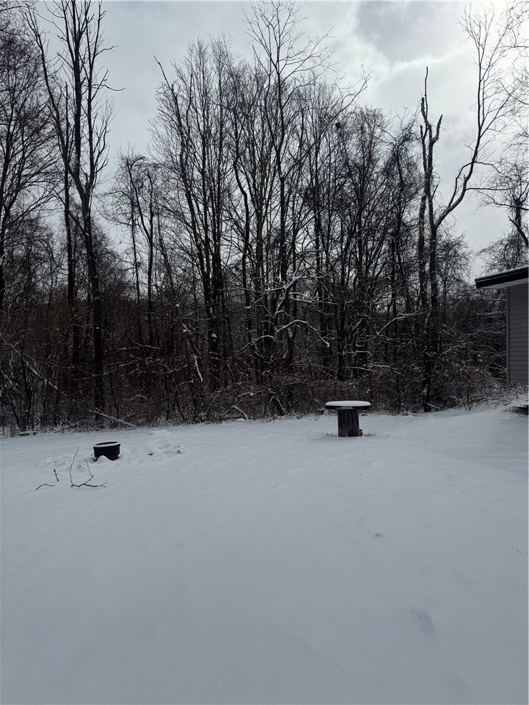 26 Bower Road Newfield, NY 14867 - Photo 46 of 50 Left side yard