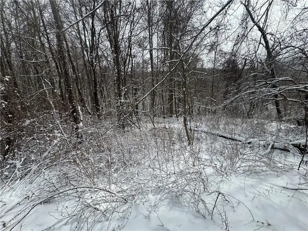 $175,000 | 26 Bower Road, Newfield, NY 14867