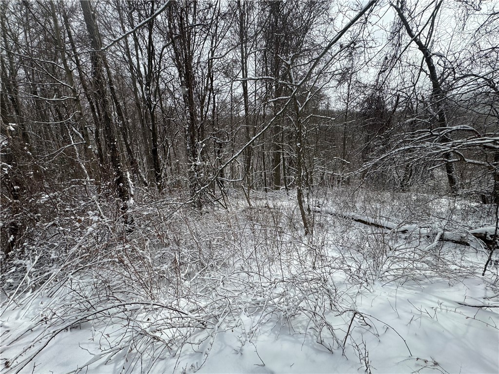 26 Bower Road Newfield, NY 14867 - Photo 47 of 50 Trees surrounding property