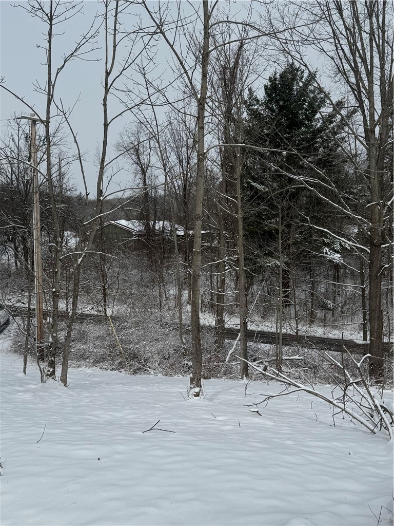 26 Bower Road Newfield, NY 14867 - Photo 48 of 50 More property views