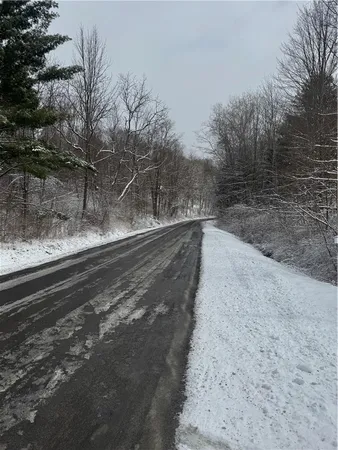 $175,000 | 26 Bower Road, Newfield, NY 14867