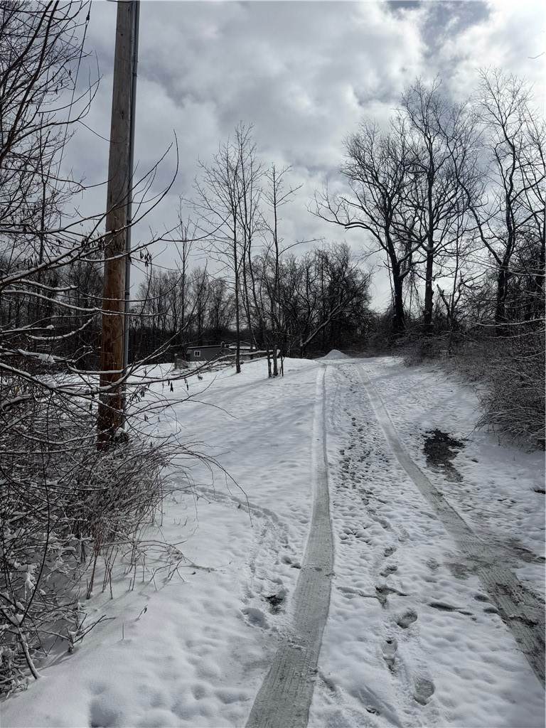 26 Bower Road Newfield, NY 14867 - Photo 50 of 50 Driveway up to home