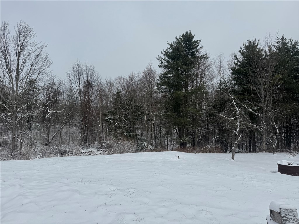 26 Bower Road Newfield, NY 14867 - Photo 5 of 50