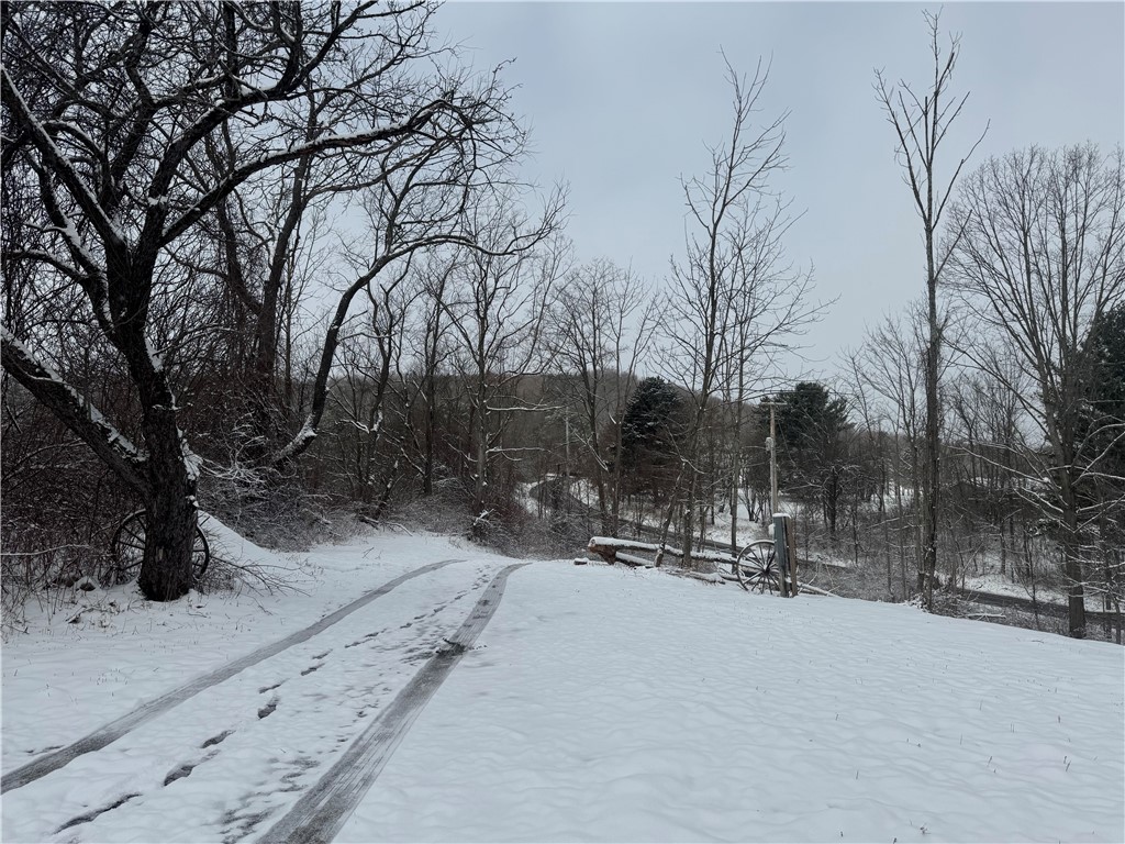 26 Bower Road Newfield, NY 14867 - Photo 6 of 50 View by the home down the driveway