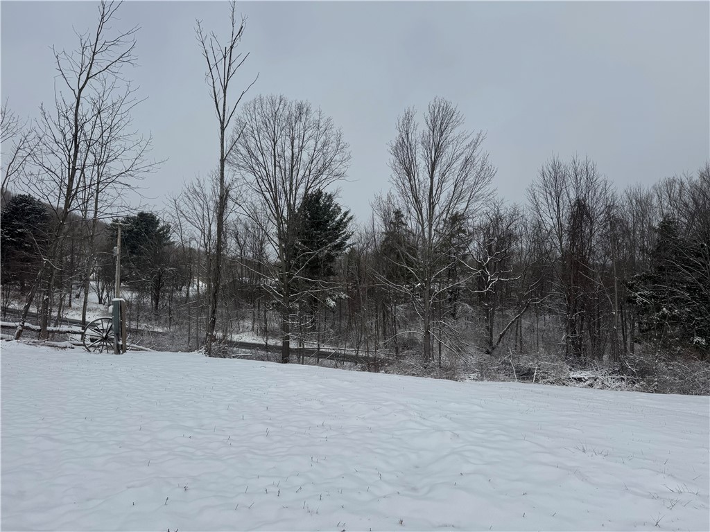 26 Bower Road Newfield, NY 14867 - Photo 7 of 50 View from upper driveway near house