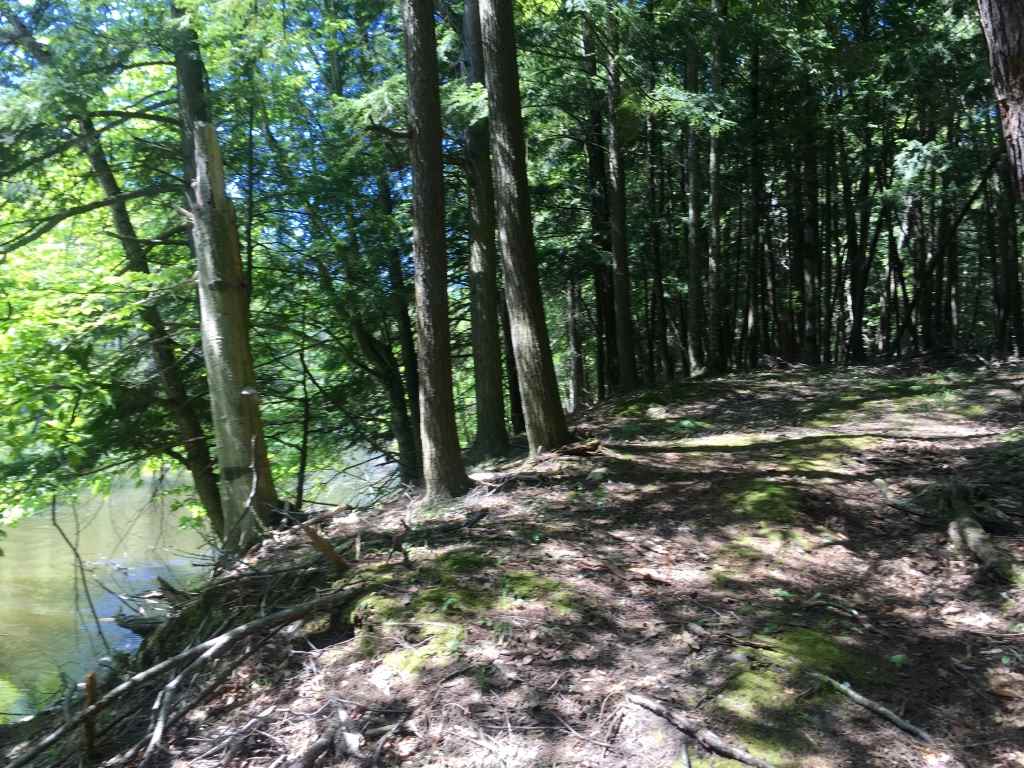 5608 Dair Mill Road Benzonia, MI 49616 - Photo 27 of 30 1872104-26.JPG