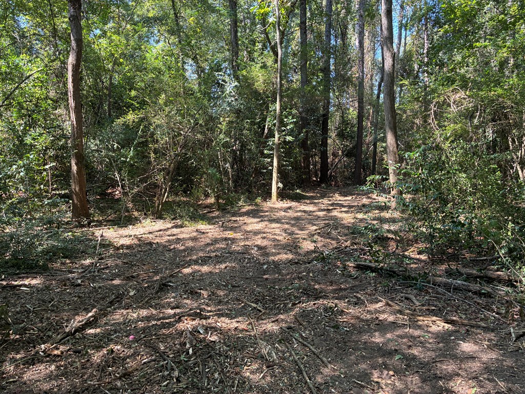 Lot 3 Hampton Way Dothan, AL 36305 - Photo 8 of 11