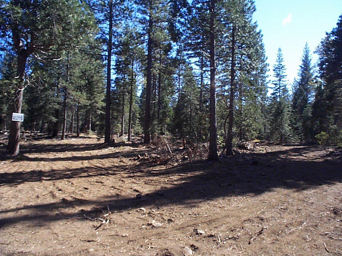 a view of dirt yard with trees