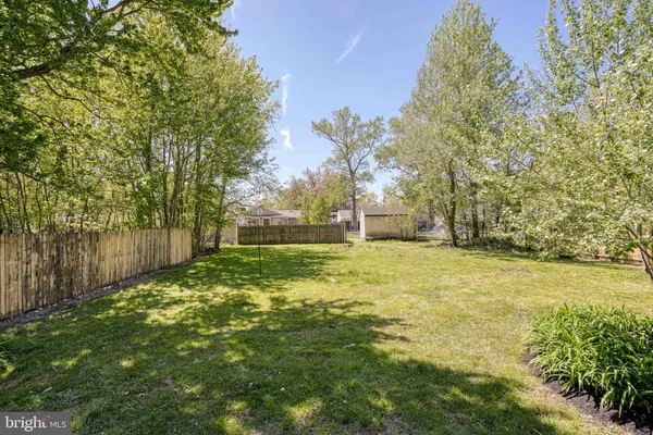 a view of a yard with a trees