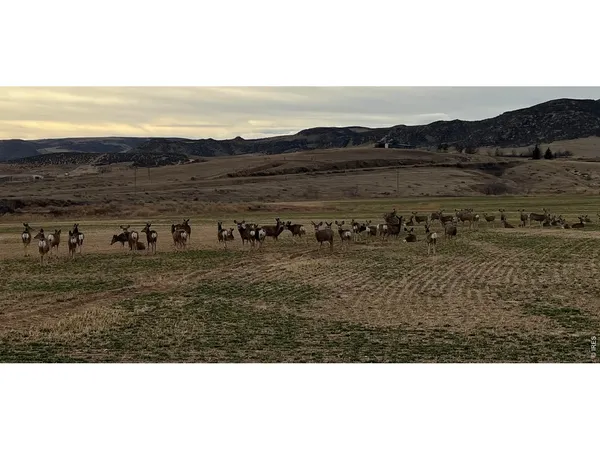 a view of a livingroom with furniture and window